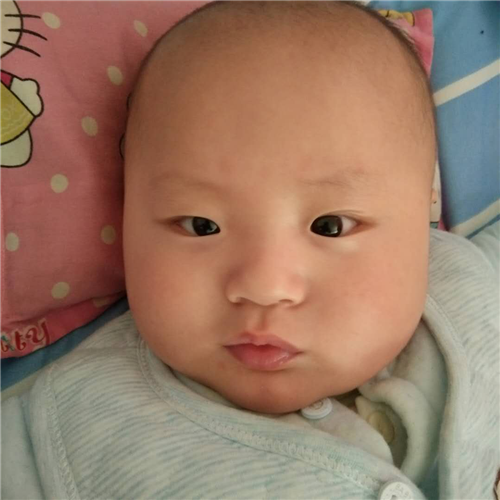 图片1.png