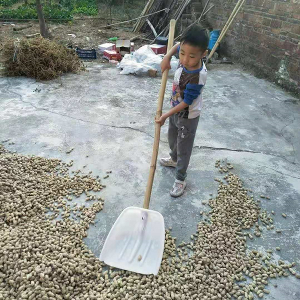 照片5.jpg
