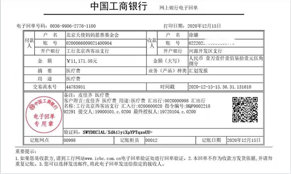 皮佳齐.png